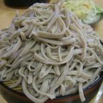 清原うどん - これで普通盛り！