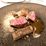 アルカナイズ - 