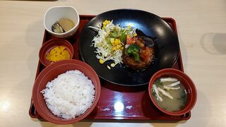 Joifuruakasakaten - 日替り昼膳（彩り野菜のみぞれハンバーグ）全景