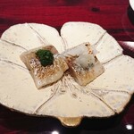 島津 - 青森　大羽鰯