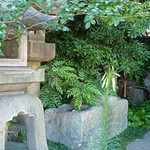 村上 - むらかみのユリ