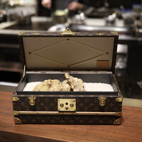 スガラボヴィー - 