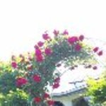 開成館 - 綺麗です！