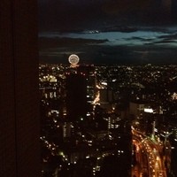 タワーズバー ベロビスト - 花火