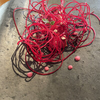 Terroir愛と胃袋 - 