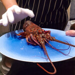 アトリエ - 蒲江産イセエビ