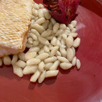 カーサ カルマ - つぷつぷ