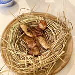 Casa Calma - 鳥の巣