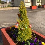 海to里 - 駅の植木もmerry Christmas！