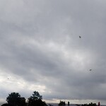 潮岬観光タワー - 