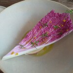 aru - 紫白菜 寒鰆
