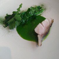 aru - チーマディラーバ 鱈