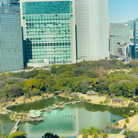 レストラン Chef's Theatre - 