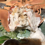 倭からん我零時 - 