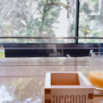 アルカナイズ - 