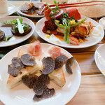 アルカナイズ - 