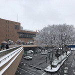 そばの神田 東一屋 - 【参考写真】雪積もっているジャナイノ！