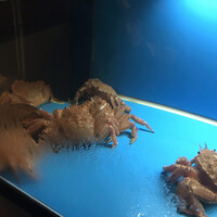 かに道楽 横浜店 - 