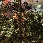 SHIROIYA the LOUNGE - 