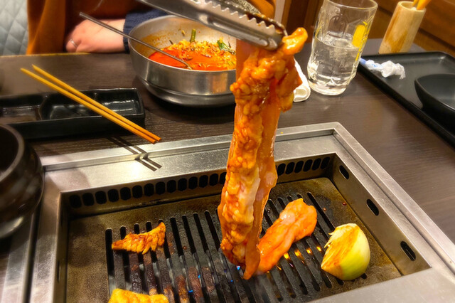 京昌園 別館はなれ 吉原本町 焼肉 食べログ 京昌園 別館はなれ 吉原本町 焼肉 食べログ