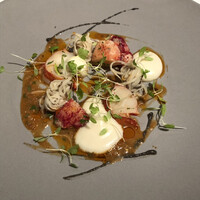 ジョンティ アッシュ - 