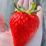 姫路ハートフル観光農園 - 