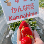 姫路ハートフル観光農園 - 