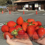 姫路ハートフル観光農園 - 