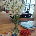 ゼブラ コーヒーアンドクロワッサン - 