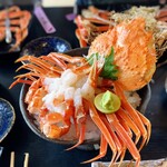 海食空間　かに乃花 - かに刺し