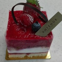 アンテノール ジェイアール京都伊勢丹店 Antenor 京都 ケーキ 食べログ アンテノール ジェイアール京都伊勢丹店 Antenor 京都 ケーキ 食べログ