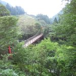 オーベルジュ土佐山 - 部屋の窓からの眺め