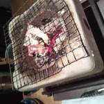 オーベルジュ土佐山 - 土佐ジローを七輪で