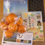 Sanjuuroku Purasu San - 玉名駅のホームで貰ったパンフレットと、ぎょくだんみかん 200円(税込)