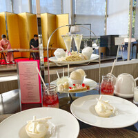 Lounge & Dining G - 