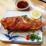 寿し割烹加久登 - オニカサゴ