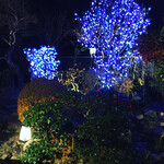 Ichikawa Oidon - 時季限定　庭園のイルミネーション