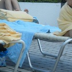 Prince Hotel Lake Biwa Otsu - 泳ぎ疲れた孫ねずみちゃん
