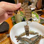 活海酒 - 車海老