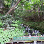 大自然の里 吾妻庵 - 店の裏山から大量の湧き水