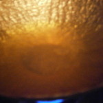 産直屋 たか - しゃぶしゃぶの鍋