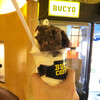 BUCYO COFFEE