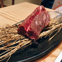 北新地はらみ 法善寺店 - 塊は興奮しますね