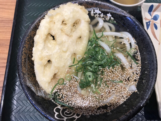 はなまるうどん 難波なんさん通り店 難波 南海 うどん 食べログ はなまるうどん 難波なんさん通り店 難波 南海 うどん 食べログ