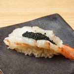 Sushi Sake Sakana Sugidama - 赤海老 他人の子持ち