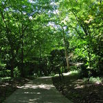 とらや工房 - ビオトープ形態の散策路