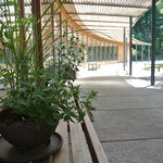 とらや工房 - 何気ない季節の花が