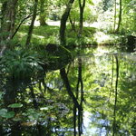 とらや工房 - 湧き水の湧く池が目の前に