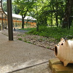 とらや工房 - 蚊が多いので、虫除け対策を忘れずに