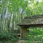 とらや工房 - 竹林と山門